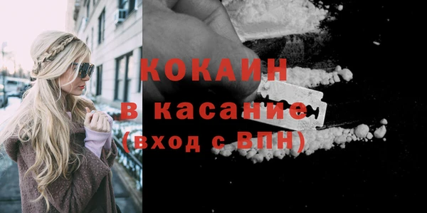 гидра Алексин