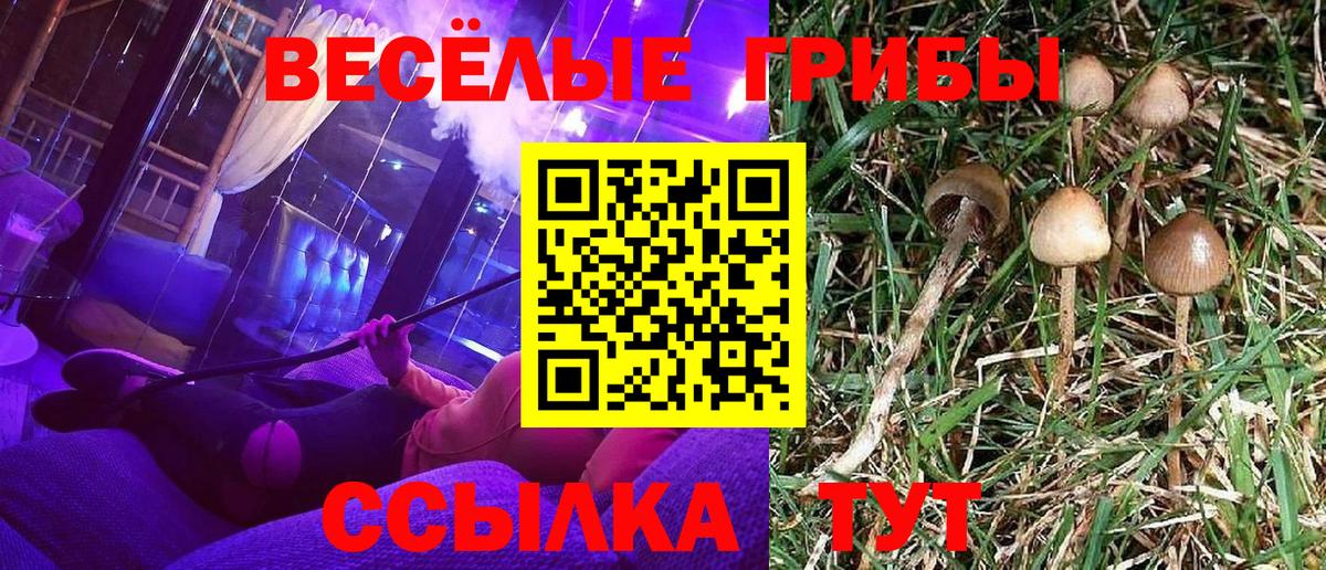 Галлюциногенные грибы Psilocybine cubensis  купить наркотик  Псилоцибиновые грибы Magic Shrooms  Южно-Сахалинск  Вход с VPN 